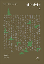 역사 앞에서 (상)