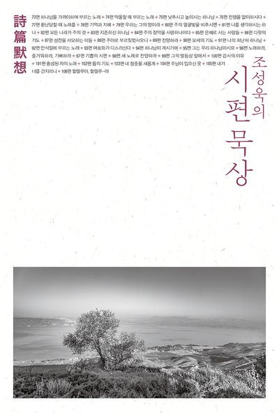조성욱의 시편 묵상