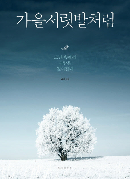 가을서릿발처럼