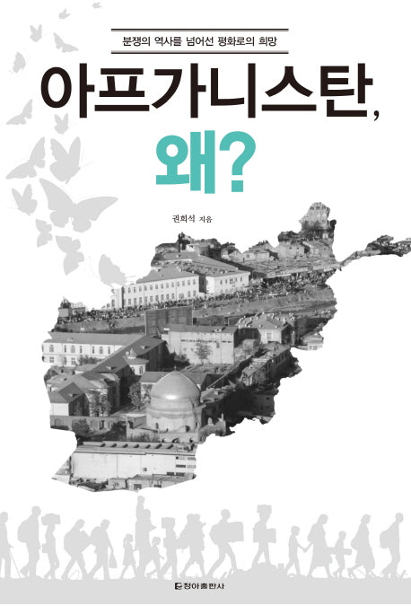 아프가니스탄, 왜?