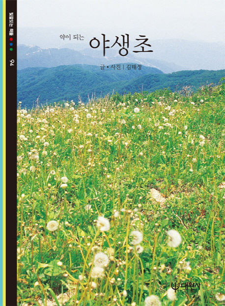 약이 되는 야생초(빛깔있는 책들 94)