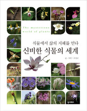 신비한 식물의 세계