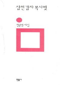 삼천갑자복사빛(민음의 시 126)