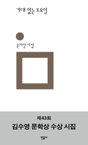 기대 없는 토요일(민음의 시 327)