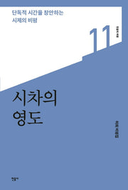 시차의 영도(민음의 비평 11)