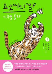 요코 씨의 말 3: 이유를 몰라