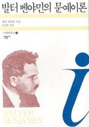 발터벤야민의 문예이론(이데아총서 9)