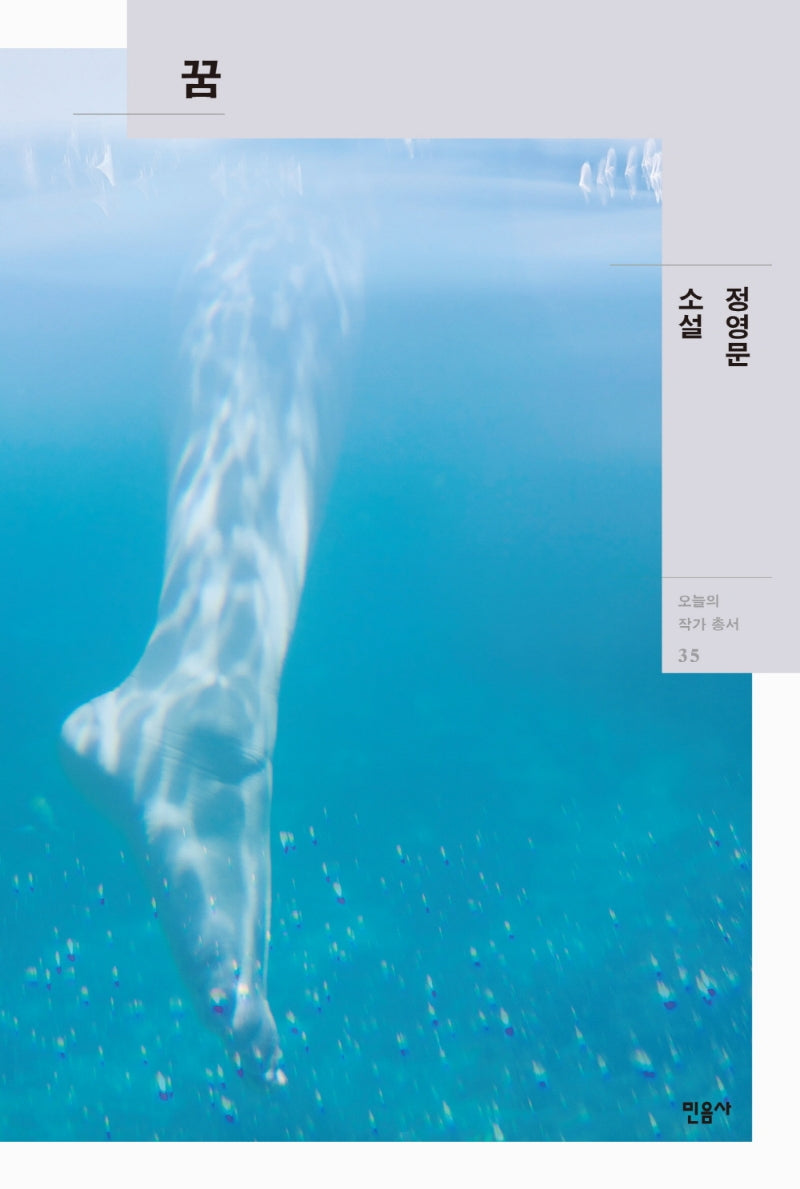 꿈(오늘의 작가 총서 35)(양장본 HardCover)