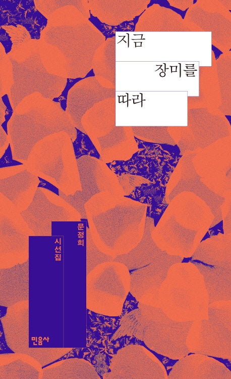 지금 장미를 따라(양장본 Hardcover)