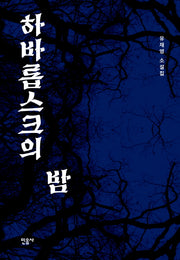 하바롭스크의 밤