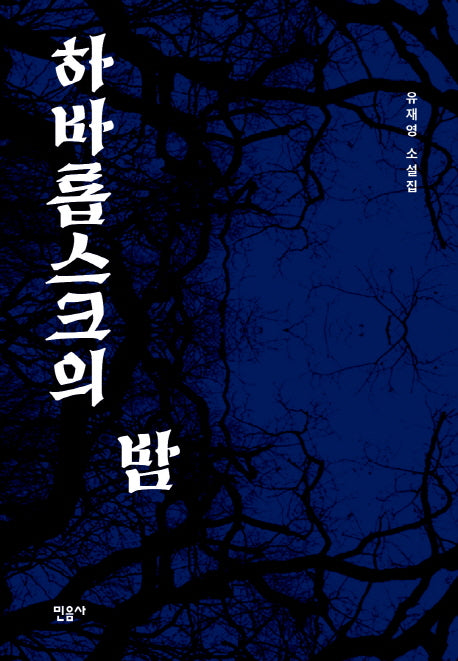하바롭스크의 밤