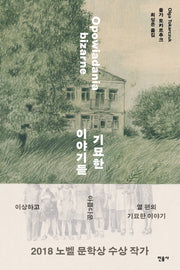 기묘한 이야기들(반양장)