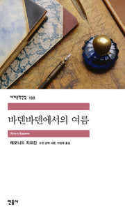 바덴바덴에서의 여름(세계문학전집 133)
