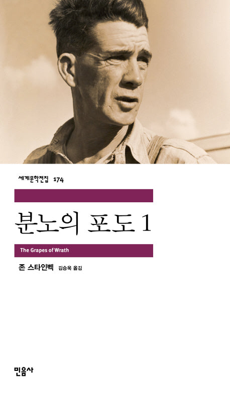 분노의 포도 1(세계문학전집 174)