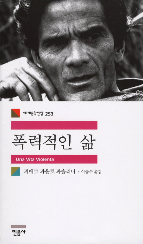 폭력적인 삶(세계문학전집 253)