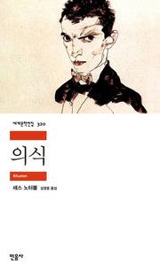 의식(Rituelen)(세계문학전집 320)