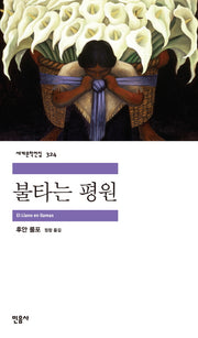 불타는 평원(세계문학전집 324)
