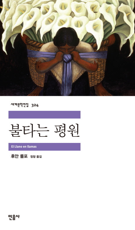 불타는 평원(세계문학전집 324)
