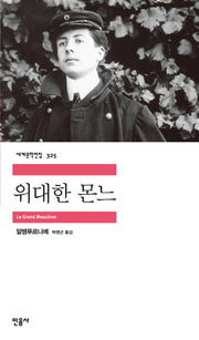 위대한 몬느(세계문학전집 325)