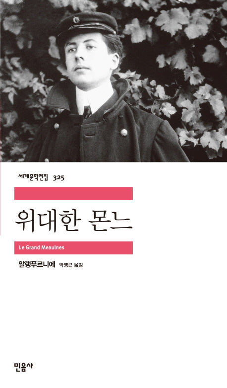 위대한 몬느(세계문학전집 325)