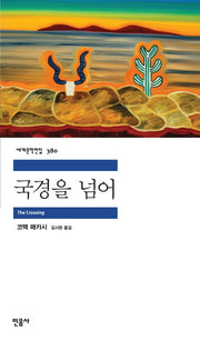 국경을 넘어(세계문학전집 380)