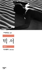 빅 서(세계문학전집 421)