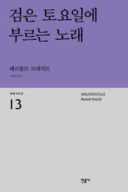 검은 토요일에 부르는 노래(세계시인선 13)