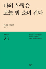나의 사랑은 오늘 밤 소녀 같다(세계시인선 23)