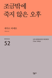 조금밖에 죽지 않은 오후(세계시인선 52)