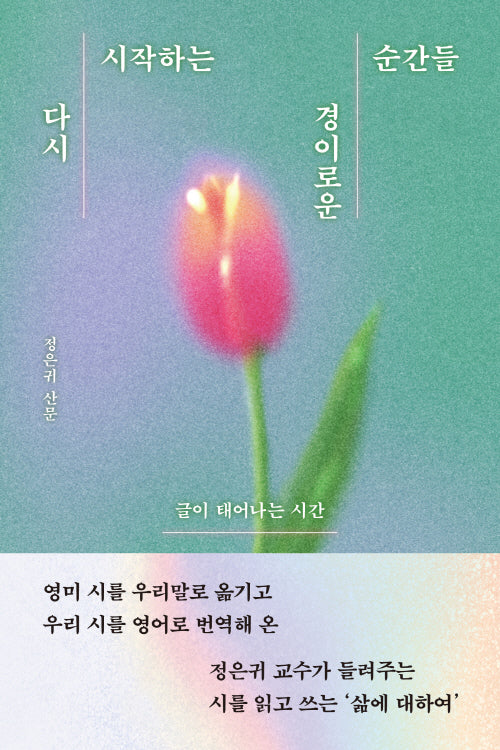 다시 시작하는 경이로운 순간들(읽는 시간 1)