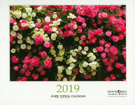 탁상용달력B(2019)(스프링)