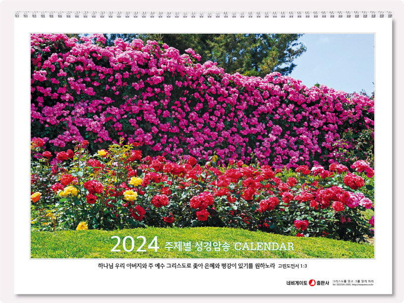네비게이토 주제별 성경암송 네비게이토 탁상용 달력(2024)(스프링)