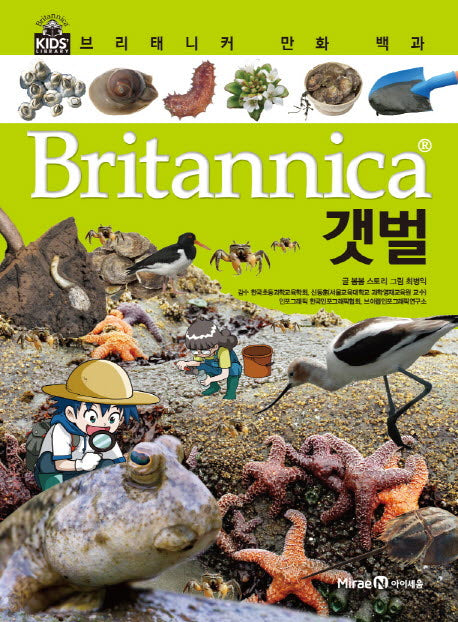 브리태니커 만화 백과 14: 갯벌(양장본 HardCover)