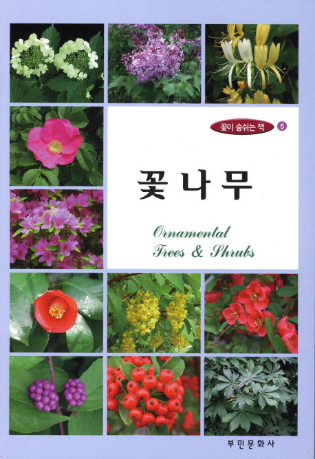 꽃나무(개정판)(꽃이 숨쉬는 책 5)