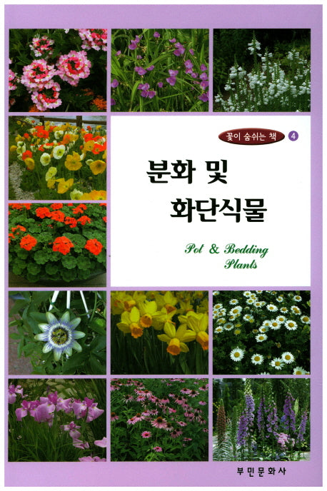 분화 및 화단식물(개정판)(꽃이 숨쉬는 책 4)