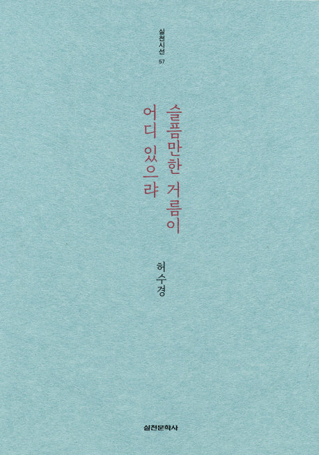 슬픔만한 거름이 어디 있으랴(3판)(실천시선 57)