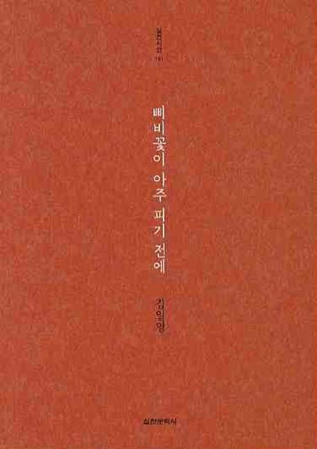 삐비꽃이 아주 피기 전에(실천시선 181)