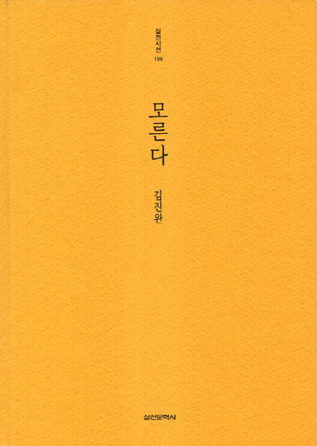 모른다(실천시선 196)