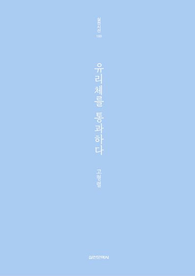 유리체를 통과하다(실천시선 199)