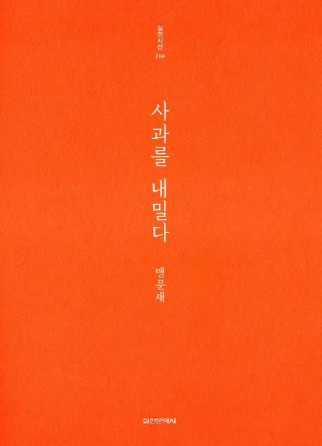 사과를 내밀다(실천시선 204)