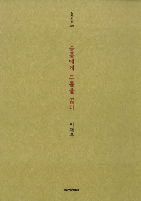 슬픔에게 무릎을 꿇다(실천시선 222)