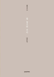 꽃 찾으러 간다(실천시선 228)