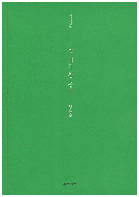 난 네가 참 좋다(실천시선 234)