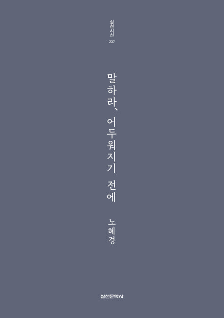 말하라, 어두워지기 전에(실천시선 237)
