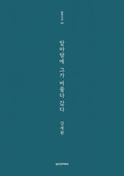 앞마당에 그가 머물다 갔다(실천시선 238)