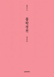 몰락경전(실천시선 240)