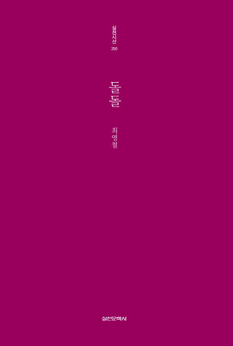 돌돌(실천시선 250)