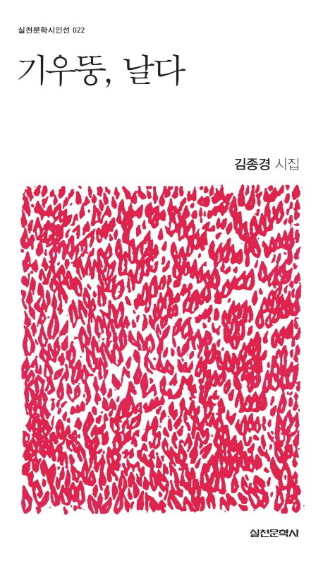 기우뚱, 날다(실천문학시인선 22)