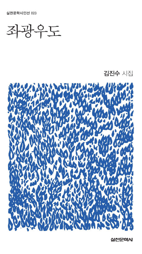 좌광우도(실천문학시인선 23)