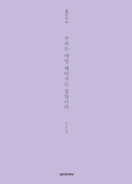 우리는 매일 헤어지는 중입니다(실천시선 255)